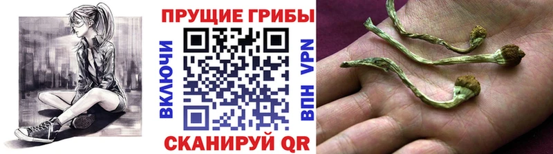 Псилоцибиновые грибы мухоморы  купить  сайты  мега рабочий сайт  Унеча 